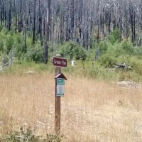 Green Flat Camp ico