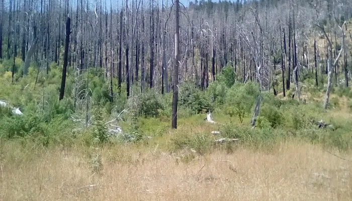 Green Flat Camp Picture 3