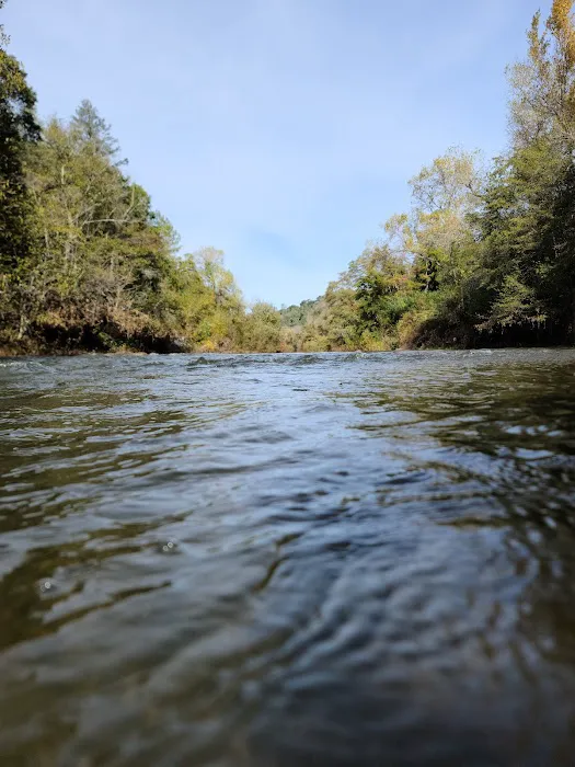 Thousand Trails Russian River Picture 4