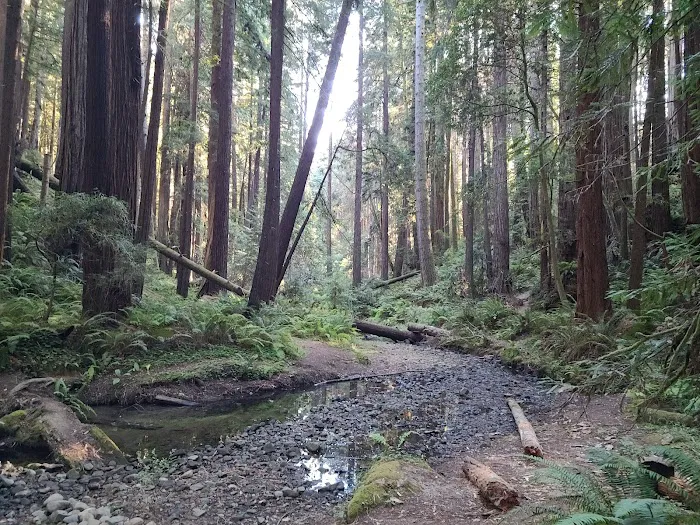 Stillwater Cove Campground Picture 10