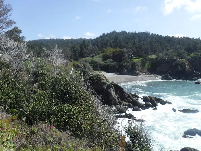Stillwater Cove Campground Picture 5