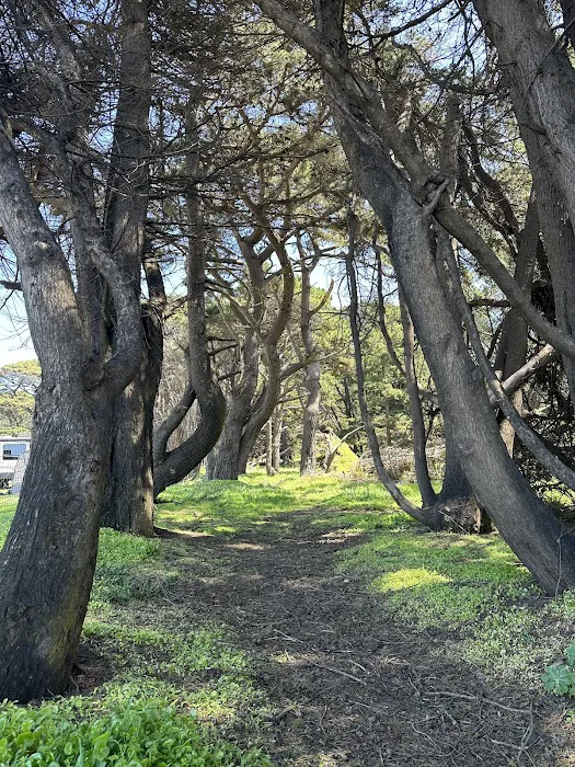 Ocean Cove Campground Picture 9