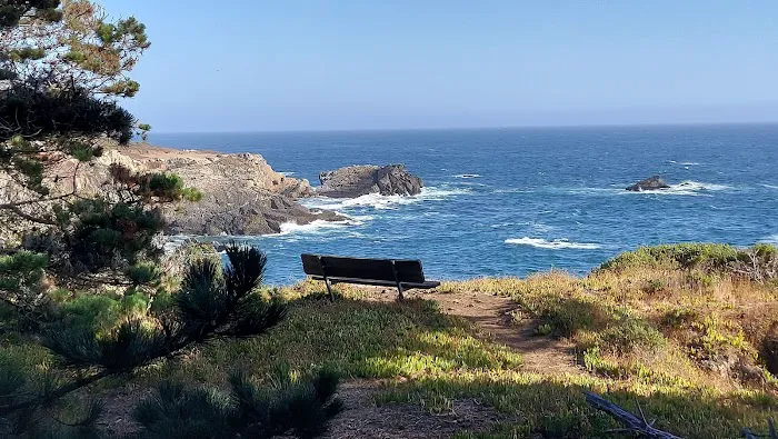 Ocean Cove Campground Picture 4
