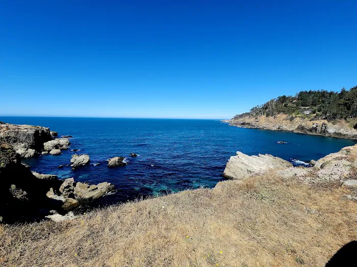 Ocean Cove Campground Picture 2