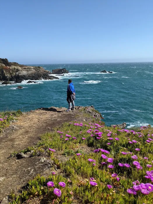 Ocean Cove Campground Picture 7