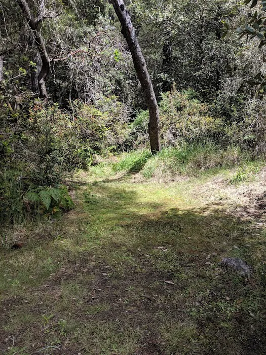 Woodside Campground Picture 2