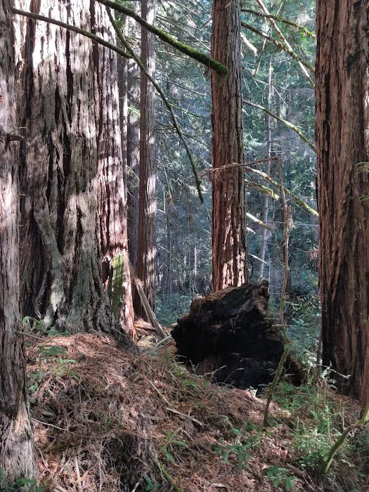 Woodside Campground Picture 6