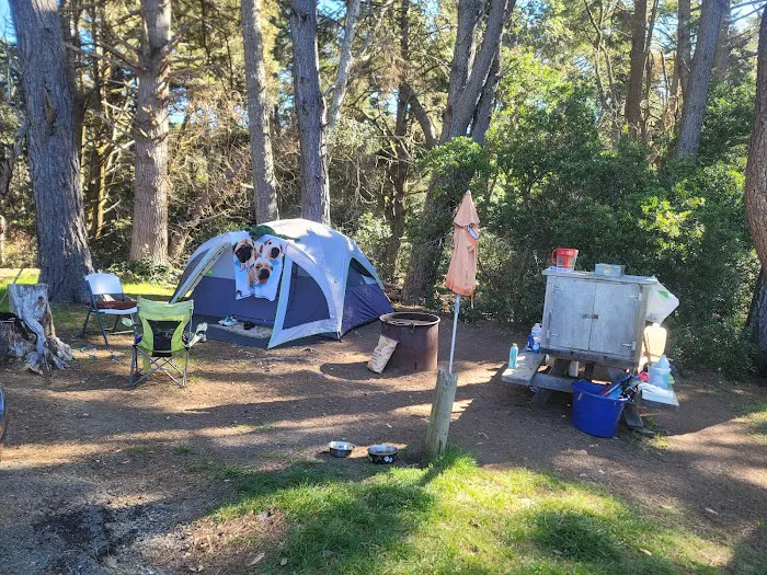 Gerstle Cove Campground Picture 6