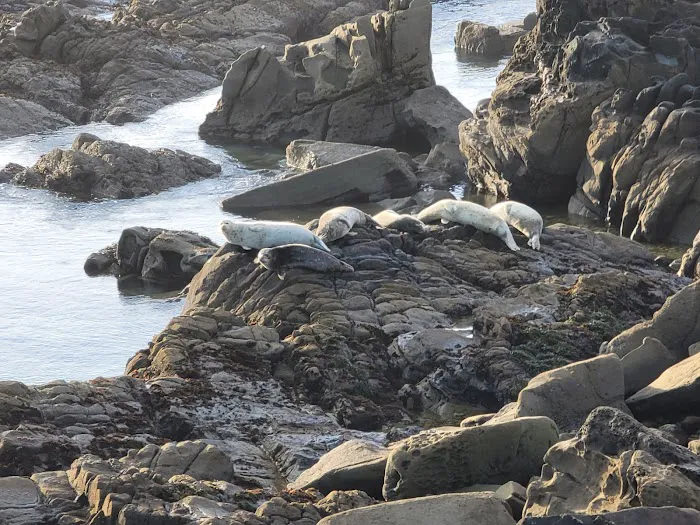 Gerstle Cove Campground Picture 4