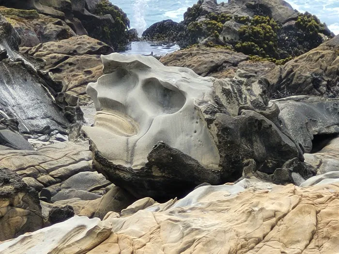 Gerstle Cove Campground Picture 9