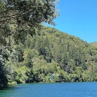 Pine Acres Blue Lake Resort ico