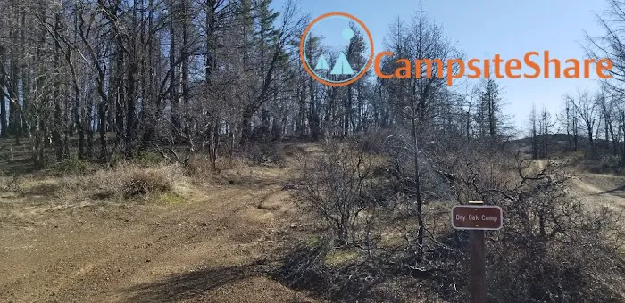 Dry Oak Camp Picture 1