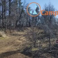 Dry Oak Camp ico