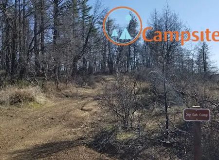 Dry Oak Camp