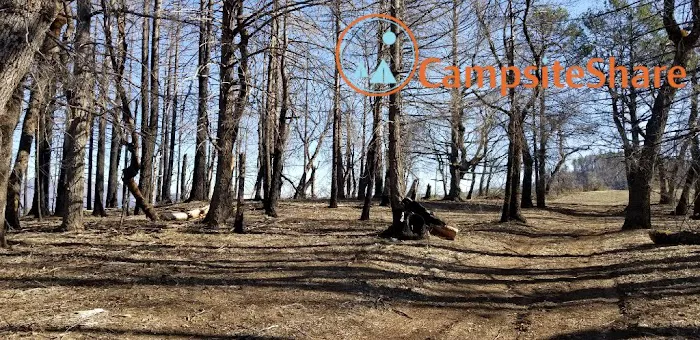 Dry Oak Camp Picture 2