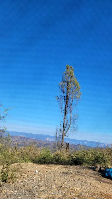 Red Mountain Campground Picture 2
