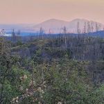 Red Mountain Campground