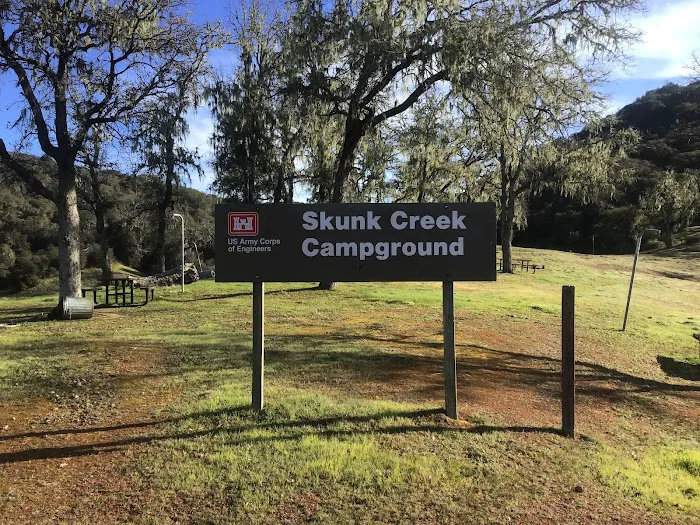 Skunk Creek Picture 4