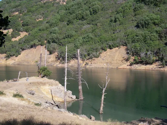 Loggers Picture 6