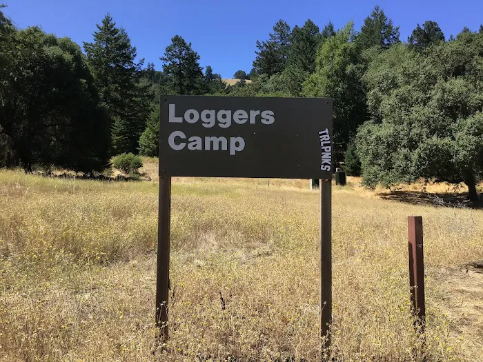 Loggers Picture 2