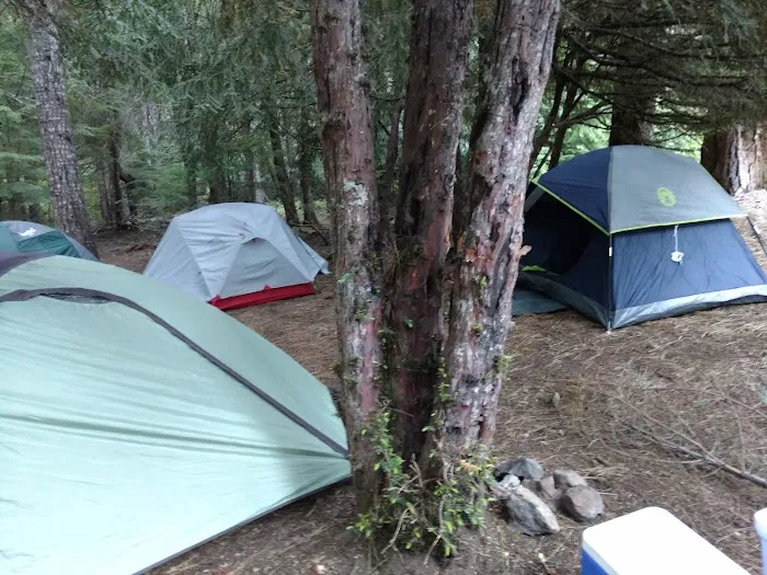 Forest Creek Campground Picture 4