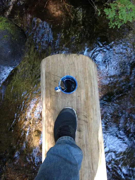 Forest Creek Campground Picture 1