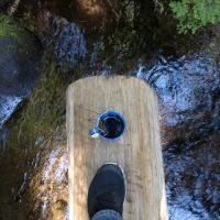 Forest Creek Campground ico