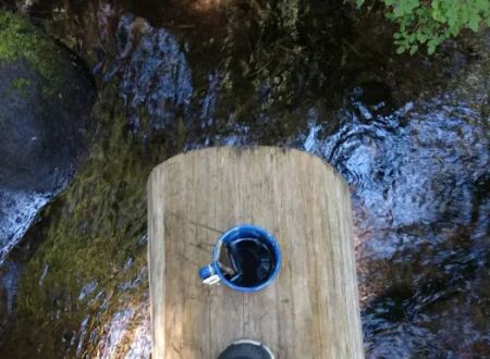 Forest Creek Campground