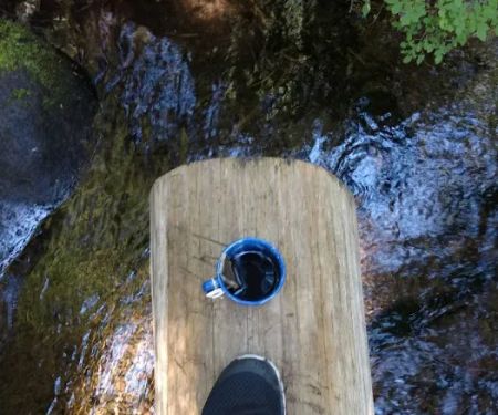 Forest Creek Campground