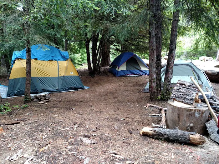 Forest Creek Campground Picture 7