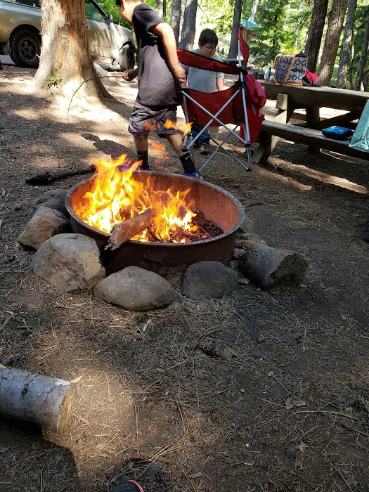 Forest Creek Campground Picture 9