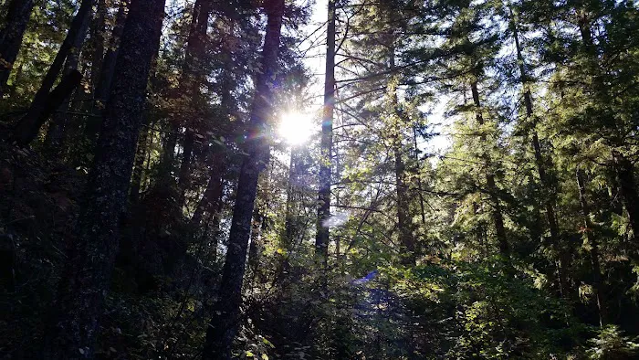 Keeps Mill Campground Picture 9