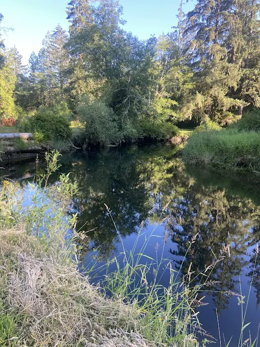 William's Park Campground Picture 5