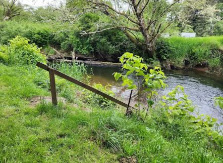 William's Park Campground
