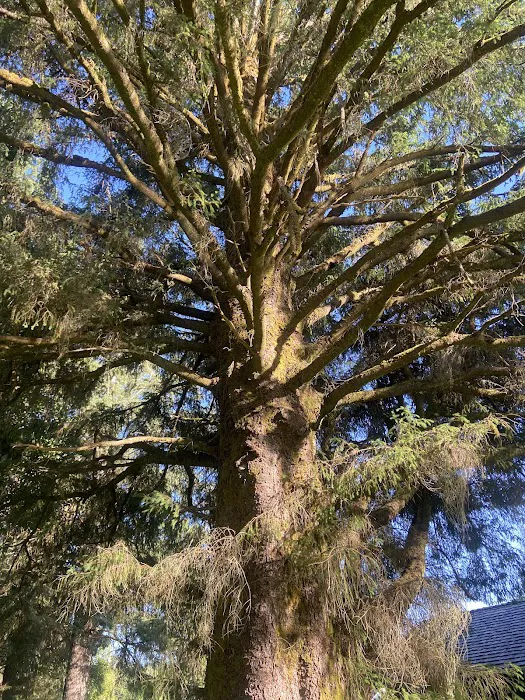 William's Park Campground Picture 2