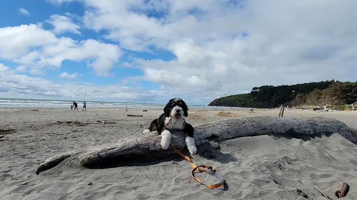 A Loop of Cape Disappointment State Park Picture 6