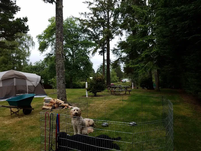 Evergreen Court & RV Park Picture 3