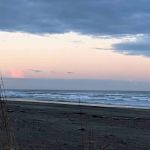 Cedar to Surf Campground