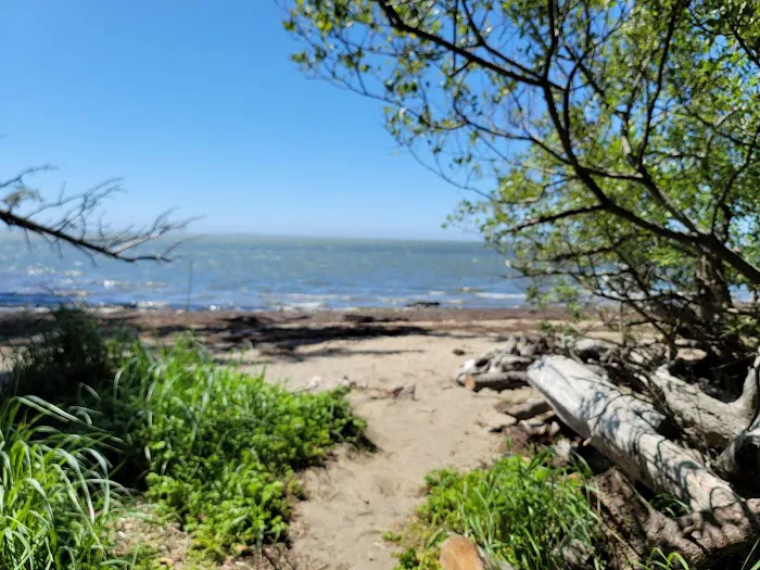 Bush Pioneer Park Picture 3