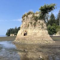 Bush Pioneer Park ico