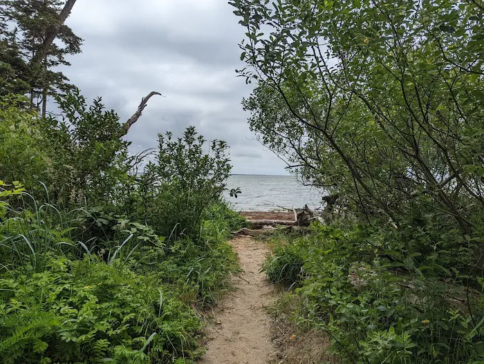 Bush Pioneer Park Picture 6