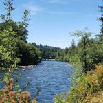 Fishermen's Bend Recreation Site