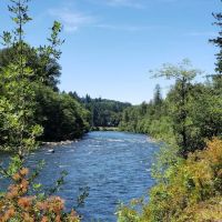 Fishermen's Bend Recreation Site ico