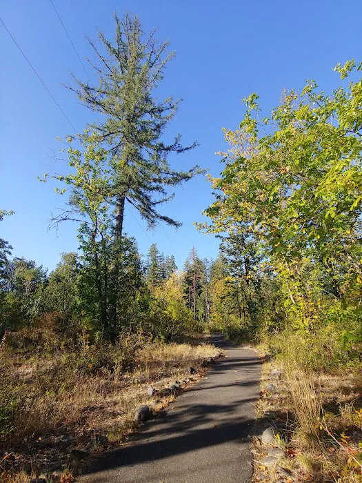 Fishermen's Bend Recreation Site Picture 3