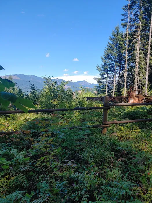 Santiam horse camp Picture 2
