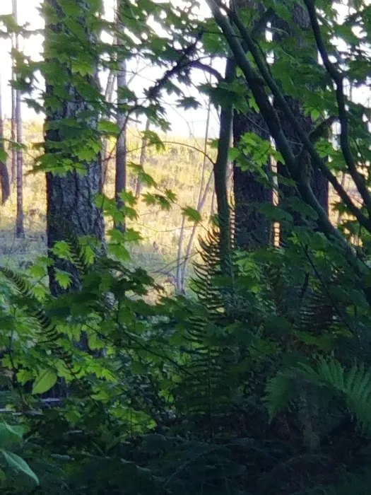 Santiam horse camp Picture 10