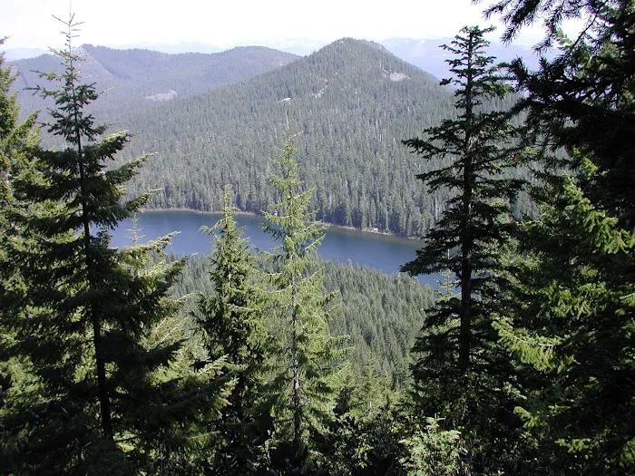 Elk Lake Campground Picture 6