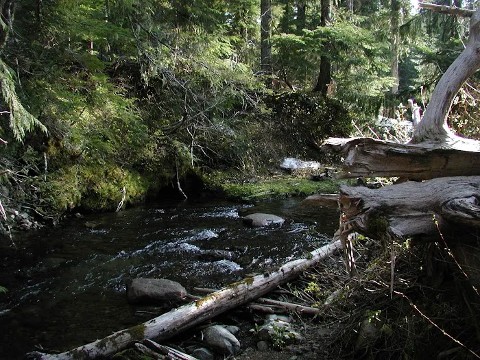 Elk Lake Campground Picture 5
