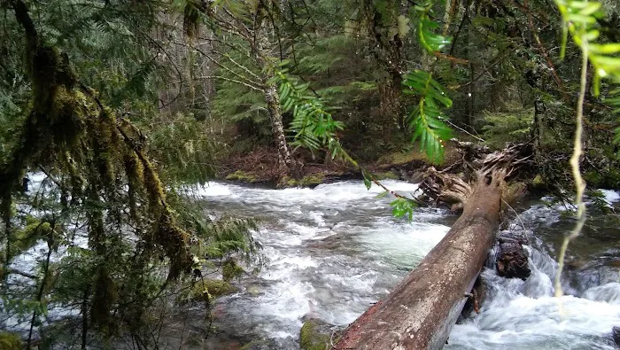 Shellrock Creek Campground Picture 6