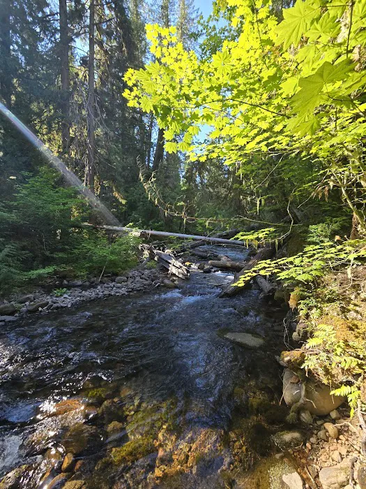 Shellrock Creek Campground Picture 8